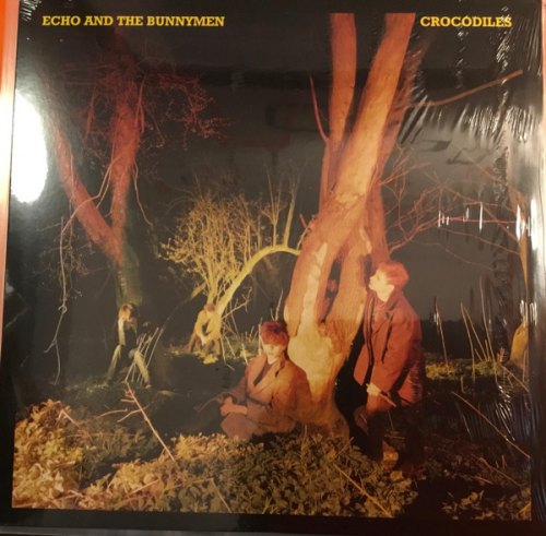 CROCODILES ECHO & THE BUNNYMEN