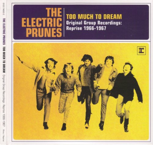 TOO MUCH TO DREAM-REPRISE 66/67 ELECTRIC PRUNES