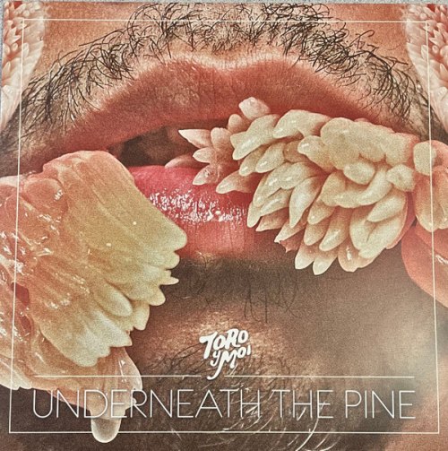 UNDERNEATH THE PINE (10TH ANN TORO Y MOI