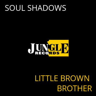 SOUL SHADOWS LITTLE BROWN BROTHER
