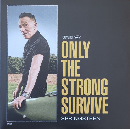 ONLY THE STRONG SURVIVE BRUCE SPRINGSTEEN