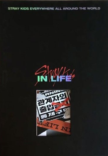 VOL. 1 REPACKAGE / IN LIFE (NORMAL VER.) STRAY KIDS