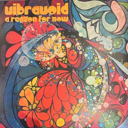 A REASON FOR NOW VIBRAVOID