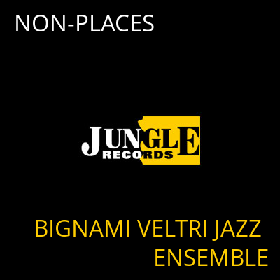 NON-PLACES BIGNAMI VELTRI JAZZ ENSEMBLE