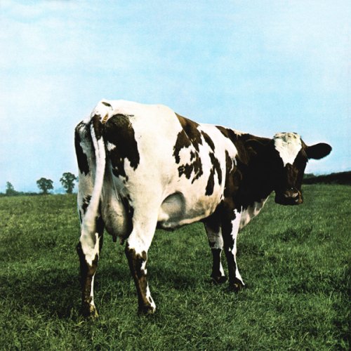 ATOM HEART MOTHER PINK FLOYD