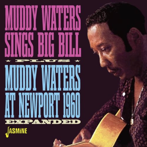 SINGS BIG BILL / MUDDY WATERS AT NEWPORT 1960 MUDDY WATERS