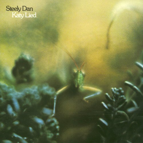KATY LIED STEELY DAN