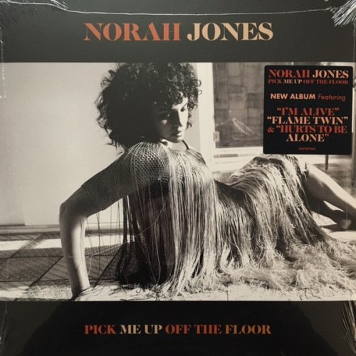 PICK ME UP OFF THE FLOOR NORAH JONES