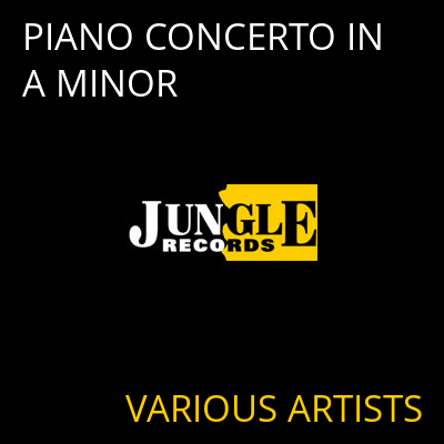 PIANO CONCERTO IN A MINOR VARIOUS ARTISTS