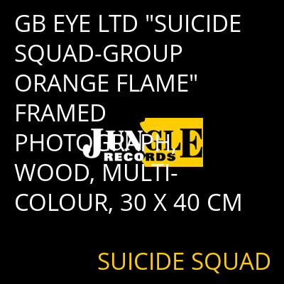 GB EYE LTD "SUICIDE SQUAD-GROUP ORANGE FLAME" FRAMED PHOTOGRAPH, WOOD, MULTI-COLOUR, 30 X 40 CM SUICIDE SQUAD