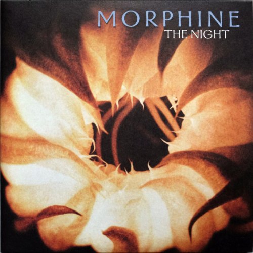NIGHT - PURPLE MORPHINE