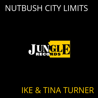 NUTBUSH CITY LIMITS IKE & TINA TURNER