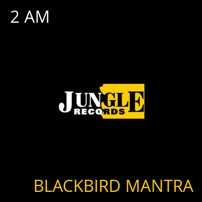 2 AM BLACKBIRD MANTRA
