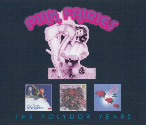 THE POLYDOR YEARS PINK FAIRIES