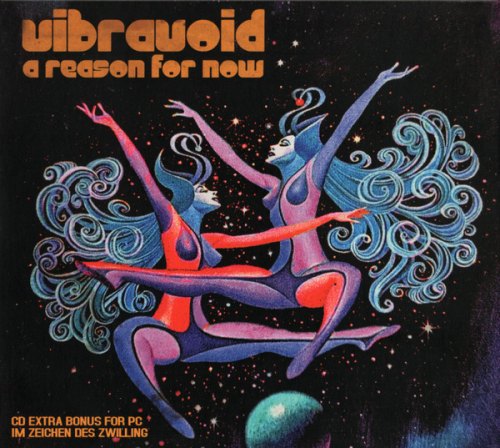 A REASON FOR NOW VIBRAVOID