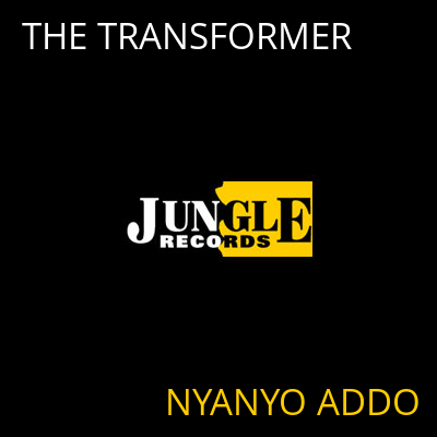 THE TRANSFORMER NYANYO ADDO