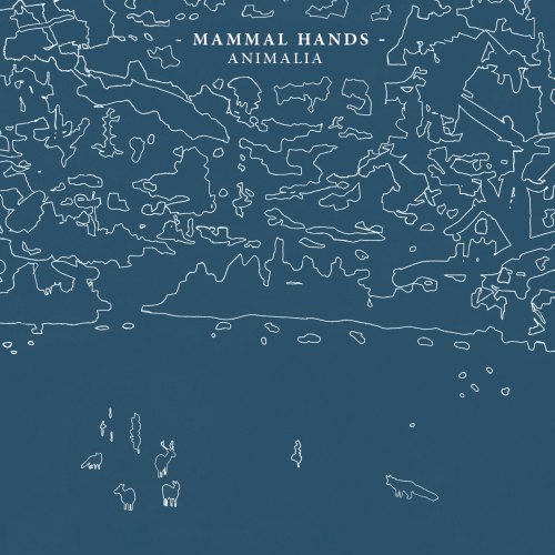 ANIMALIA MAMMAL HANDS