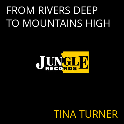 FROM RIVERS DEEP TO MOUNTAINS HIGH TINA TURNER